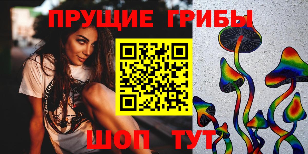 Галлюциногенные грибы Psilocybine cubensis Борисоглебск